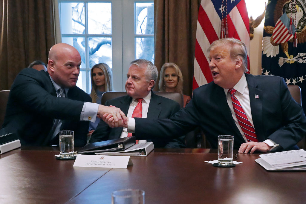 Preşedintele ales al SUA, Donald Trump, a decis pe cine trimite ambasador la NATO