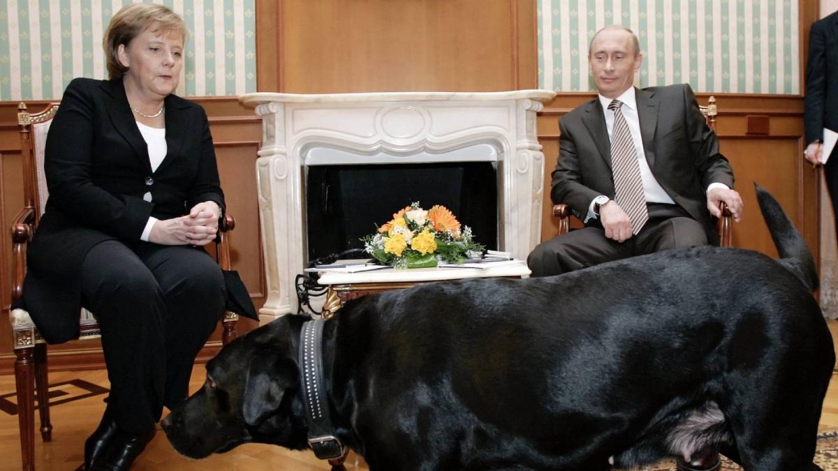 Vladimir Putin și-a cerut scuze de la Angela Merkel! Nu a vrut să o sperie atunci când și-a adus animalul de companie la o întâlnire cu ea. „Angela, te rog să mă ierți”