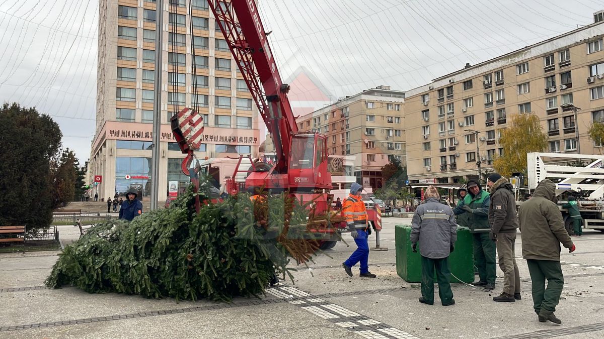 Se montează bradul din Piața Unirii! Pregătirile pentru sărbătorile de iarnă continuă la Iași