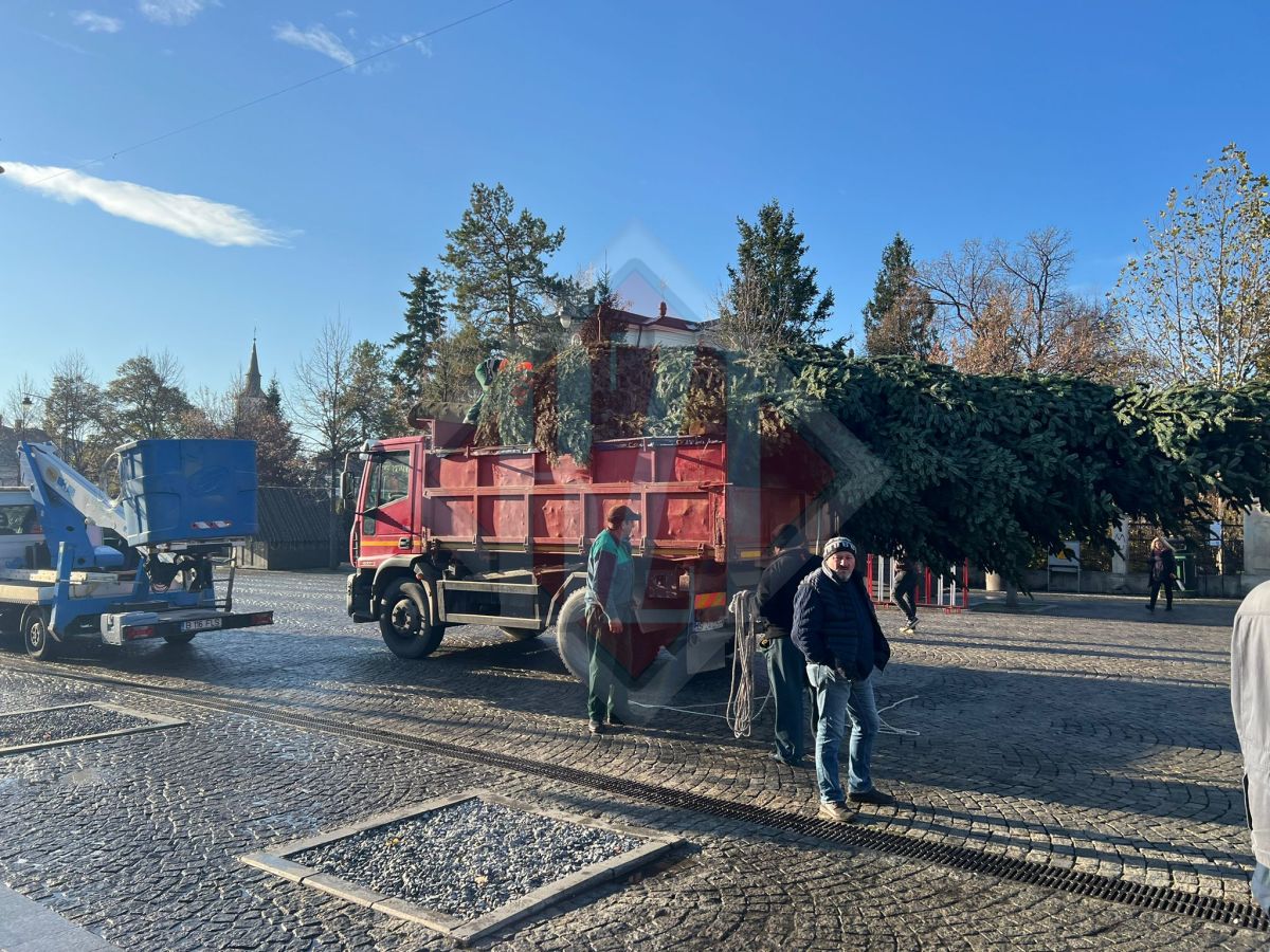 Vine Crăciunul! Se montează bradul pe bulevardul Ștefan cel Mare din Iași