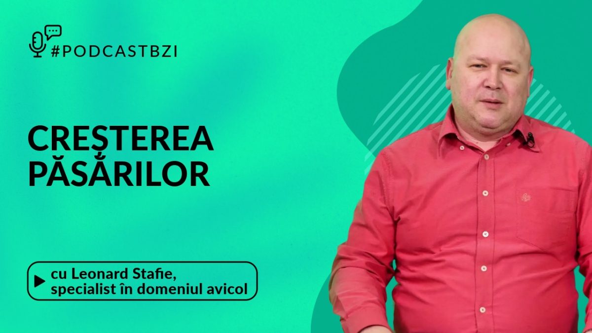 Despre creșterea păsărilor, cu Leonard Constantin Stafie, specialist în domeniul avicol, într-un nou episod de #PodcastBZI!