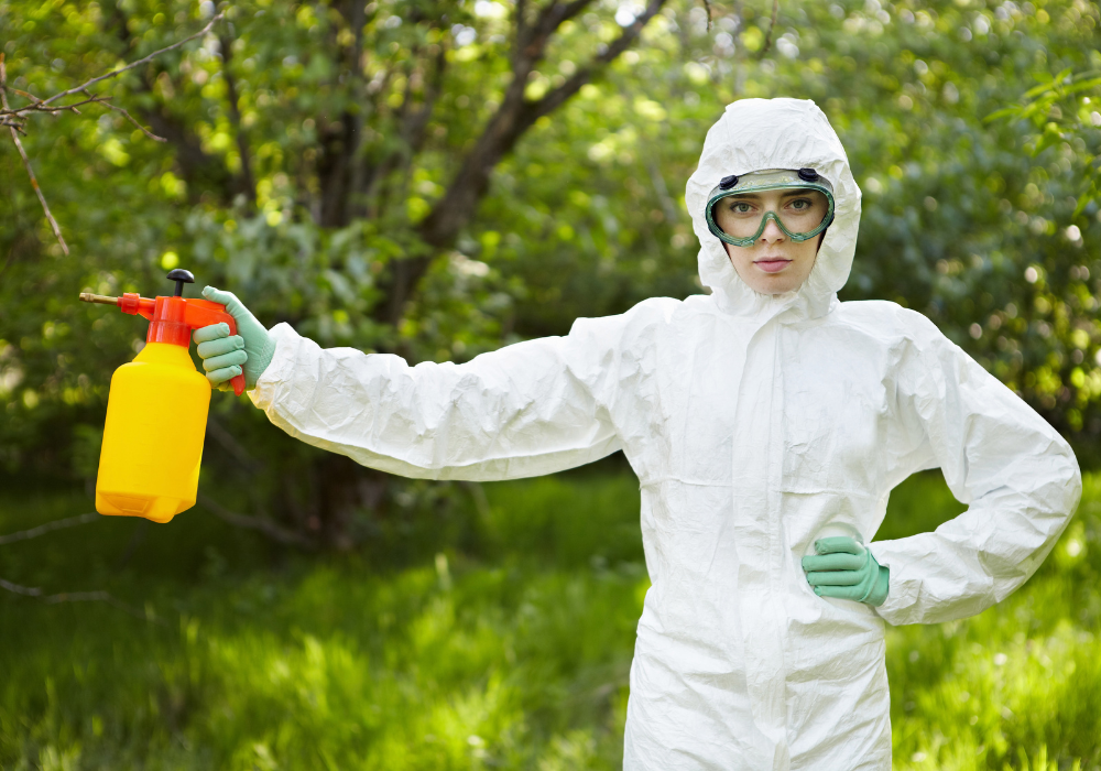 Insecticide pentru plante de la CropMarket: cum să protejezi grădina împotriva dăunătorilor
