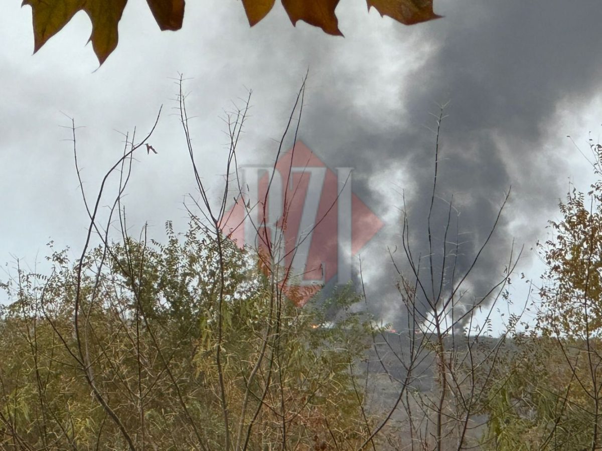 Incendiu de vegetație uscată în Lunca Cetățuii. Intervenție rapidă a pompierilor ieșeni