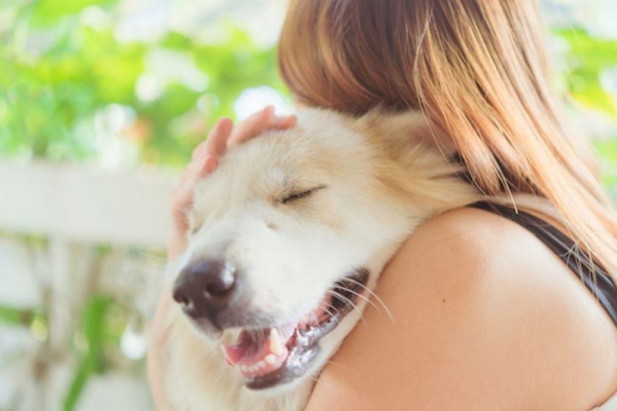 O nouă lege pentru iubitorii de animale de companie! Ce nu mai au voie să facă de la 15 decembrie 2024