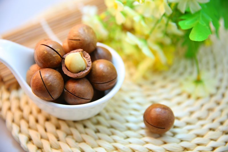 Beneficiile nucilor macadamia. În ce preparate le poți integra