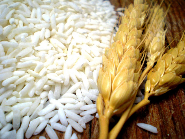 Orezul are gluten? Adevărul despre alimentul pe care îl consumăm în mod frecvent!