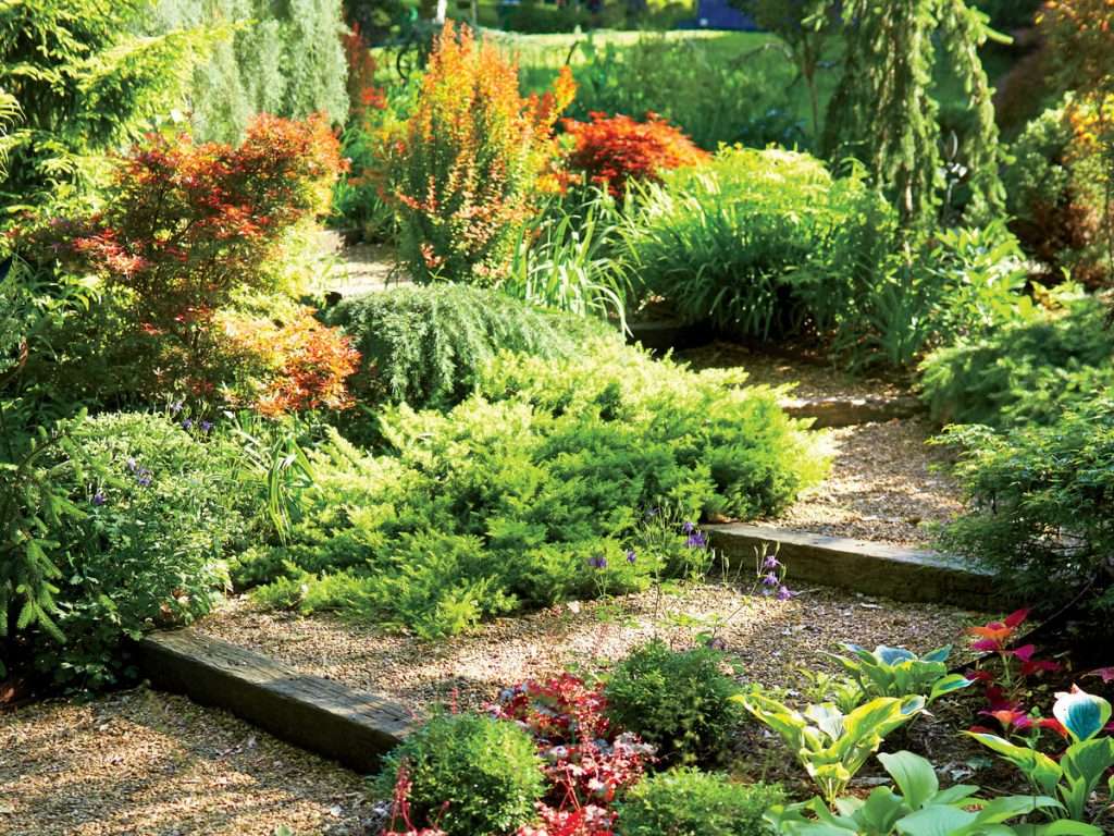 Ghid complet: asa să alegi cele mai frumoase plante ornamentale pentru grădina ta