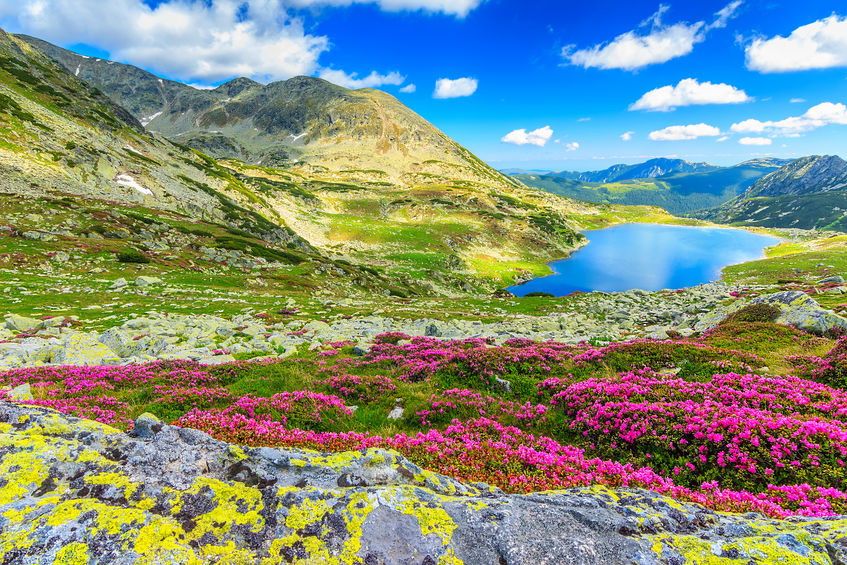 Rezervații naturale din România. Află care sunt locurile pe care trebuie să le vezi cel puțin o dată