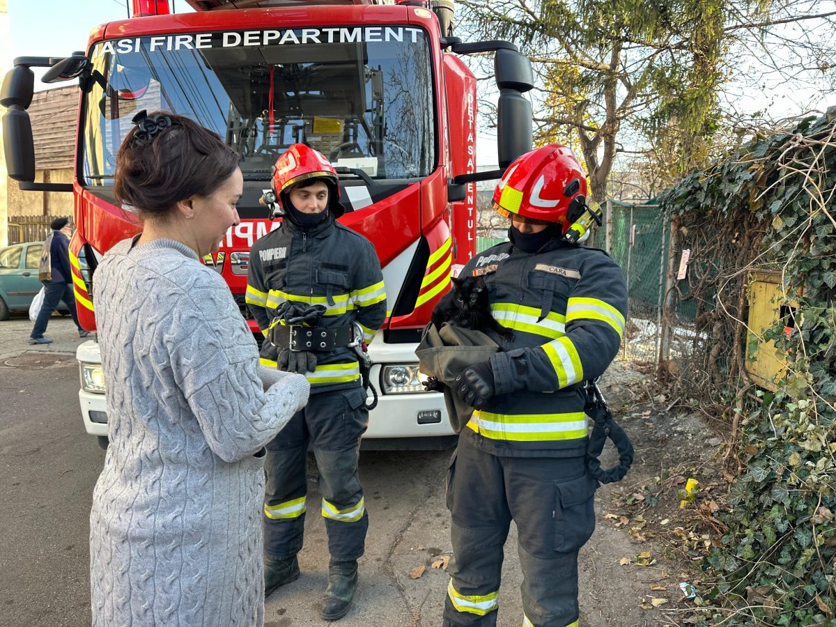 Misiune la Iași! Pompierii au intervenit pentru a salva o pisică urcată pe un stâlp de iluminat
