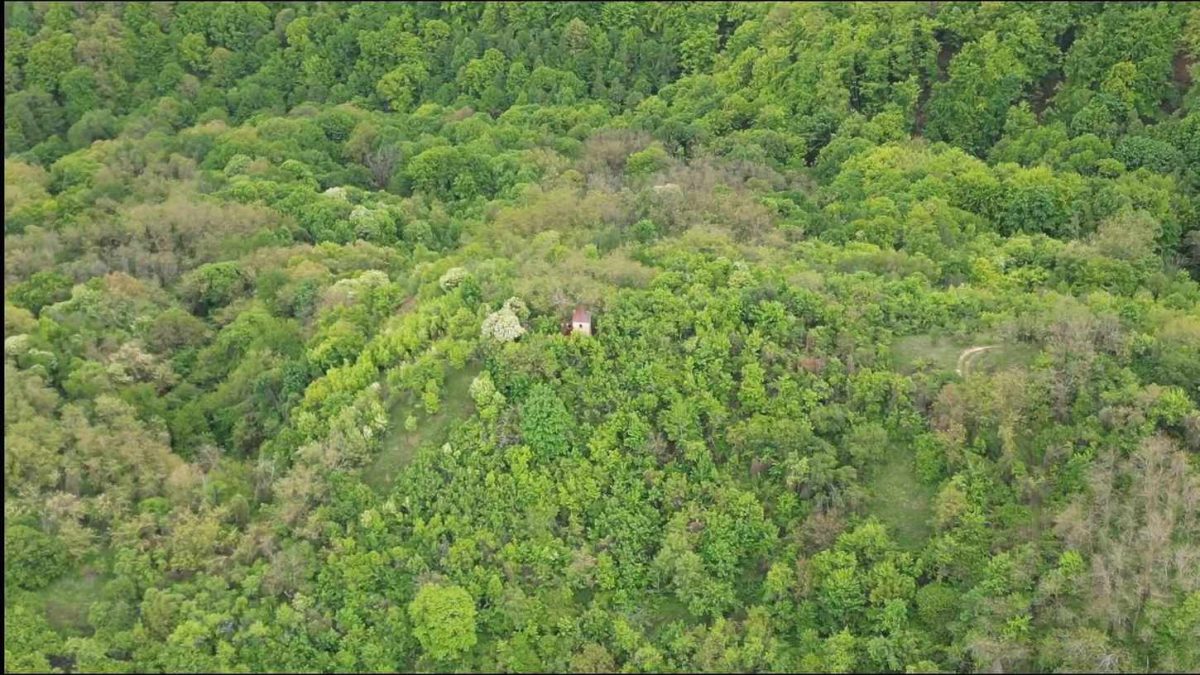 Satul misterios din România acoperit de pădure. Motivul pentru care localnicii au părăsit zona