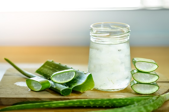 Sucul de aloe vera. Ce beneficii are planta suculentă