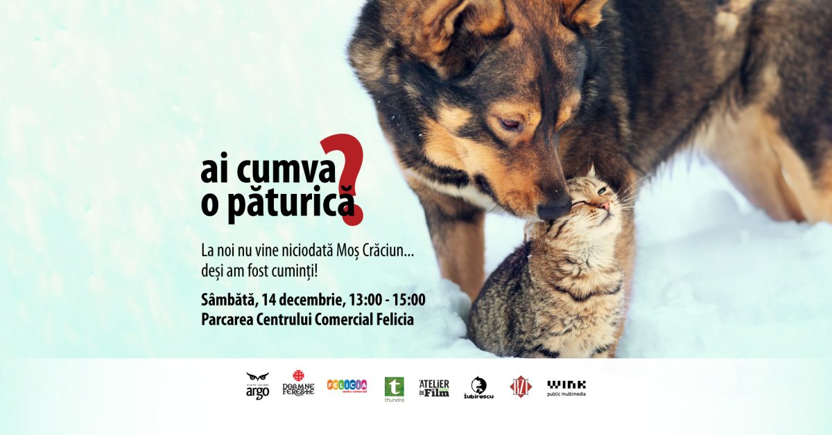 Ai cumva o păturică? – Ediția a 17-a – 14 Decembrie 2024, Parcarea Centrului Comercial Felicia Iași