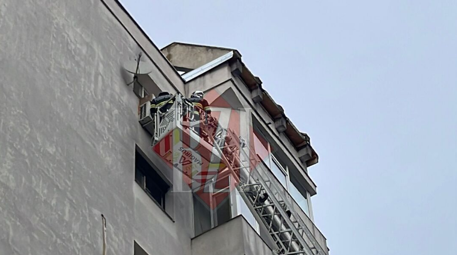 Un cuib de lilieci a fost descoperit într-un bloc de pe strada Bacinschi. Pompierii intervin – EXCLUSIV