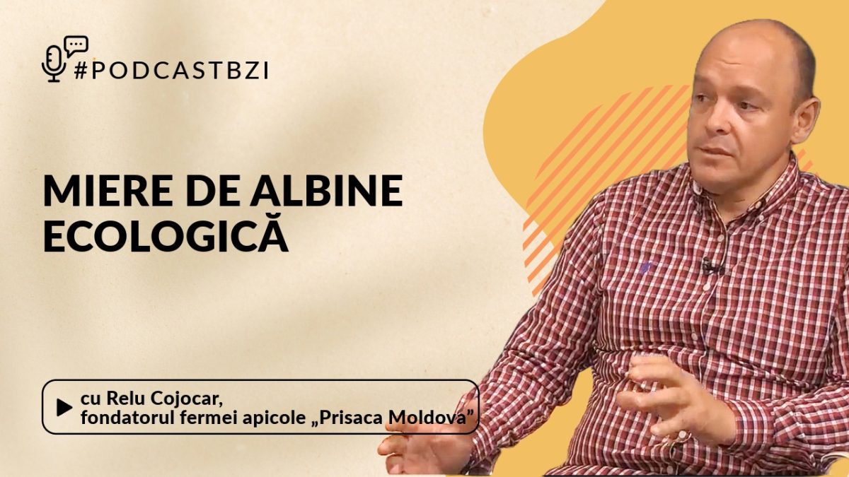 Relu Cojocar, fondatorul fermei apicole „Prisaca Moldova”, despre mierea de albină ecologică