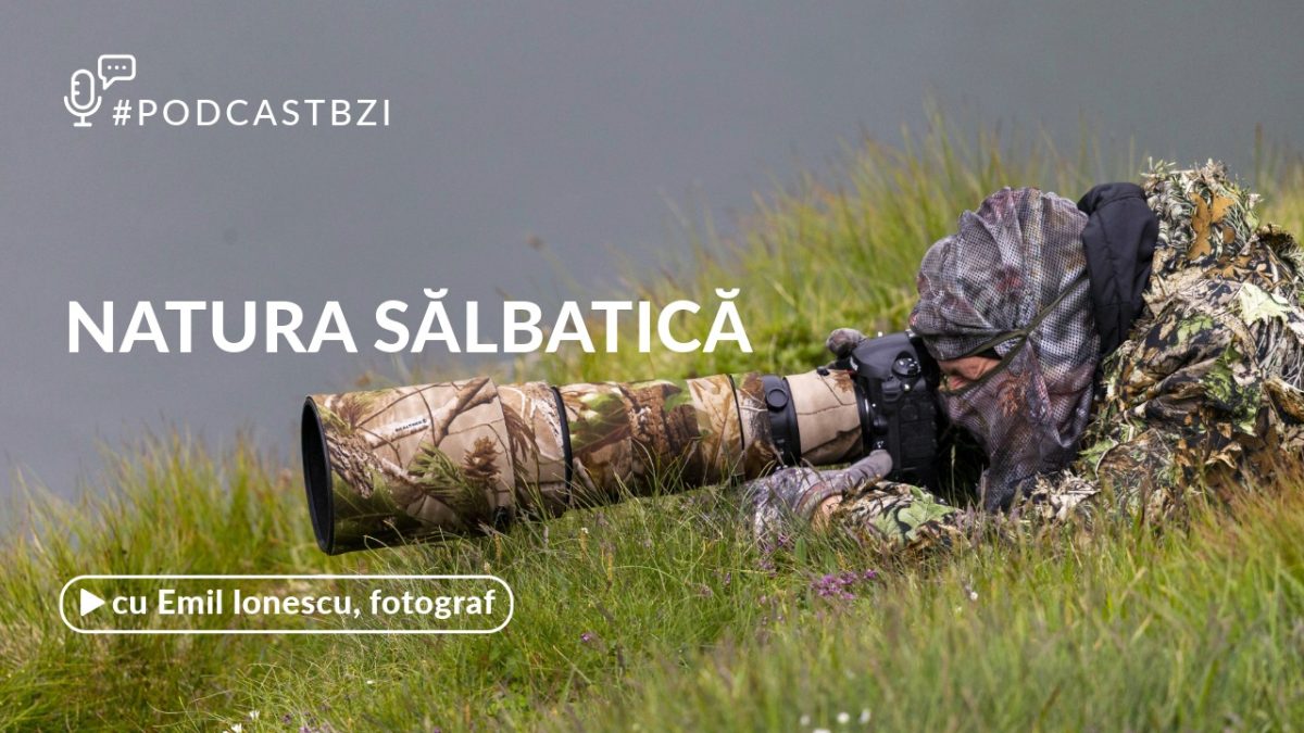 Despre fotografia de natură sălbatică, cu fotograful Emil Ionescu, intr-un nou episod de #Podcast BZI!