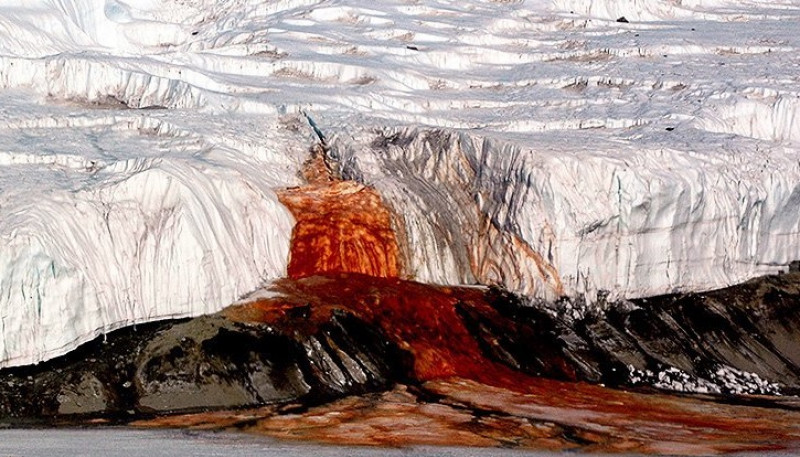 Misterul „cascadei de sânge” din Antarctica! Descoperirea care a șocat lumea științifică