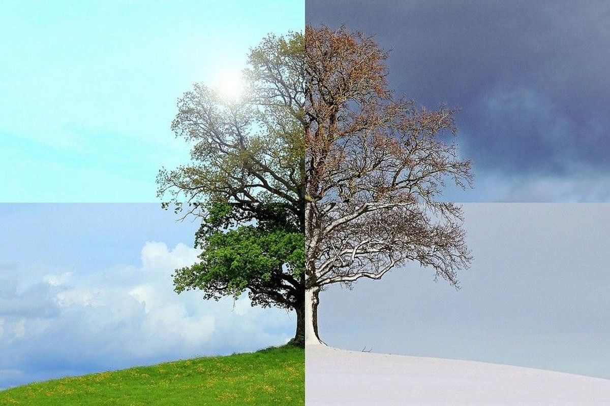 Denumirile populare ale lunilor anului. Unde își au originea?