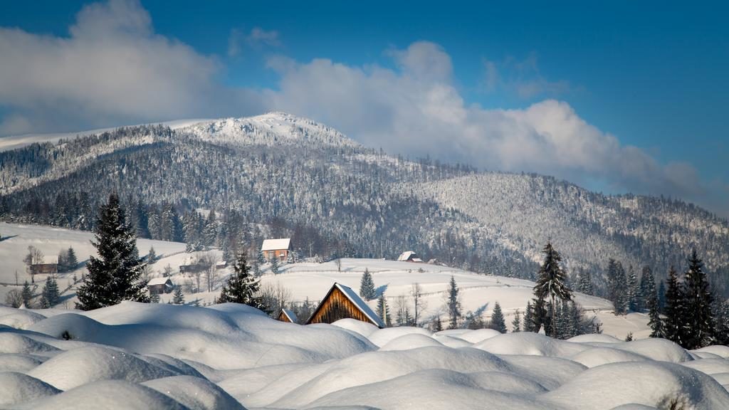 Destinațiile favorite de vacanță ale românilor. Se viralizează un nou trend