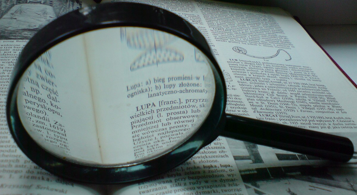 Care este cuvântul anului 2024! Impactul consumului digital asupra sănătății noastre mentale