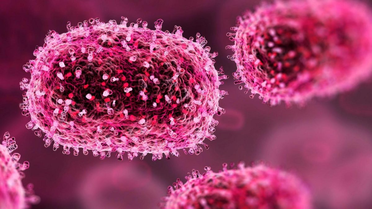 Epidemia Mpox a ajuns in Europa! Noi cazuri de infecţie cu varianta mai contagioasă şi mai severă confirmate