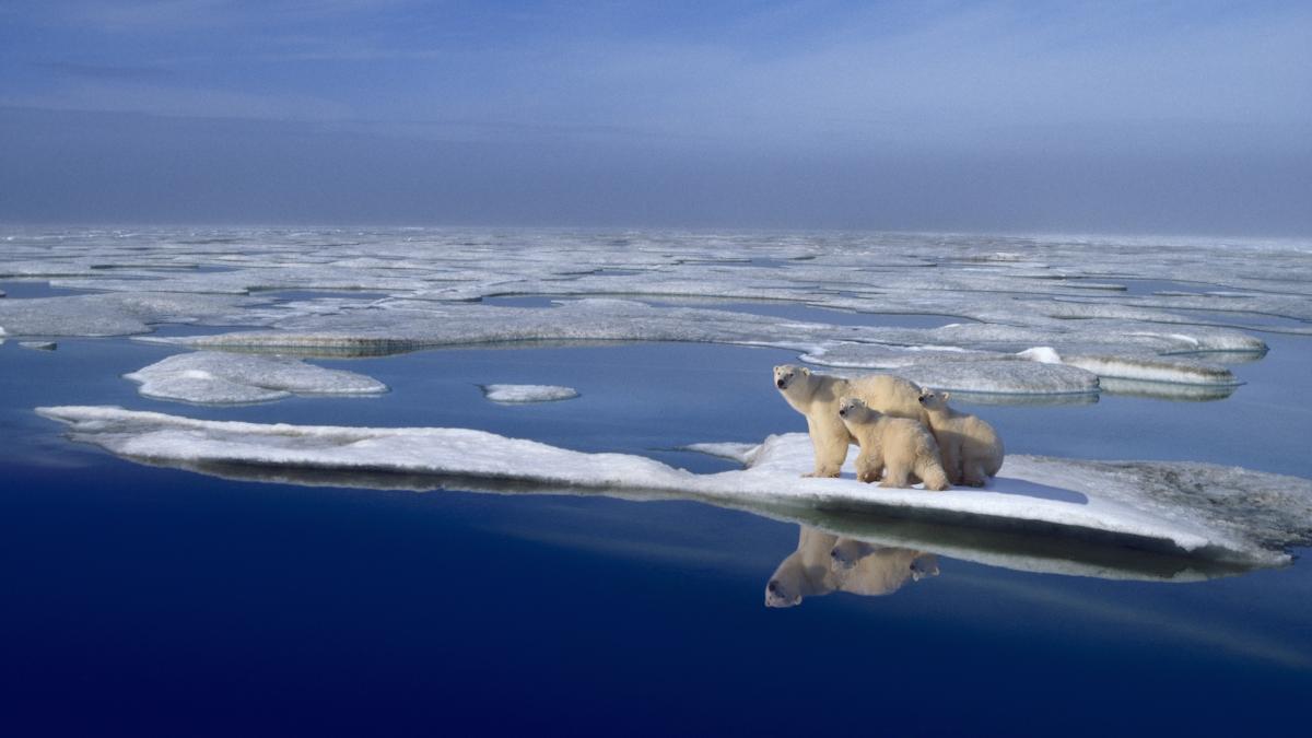 Dezastru climatic! Pentru prima dată in istorie, Oceanul Arctic riscă să rămână fără gheață