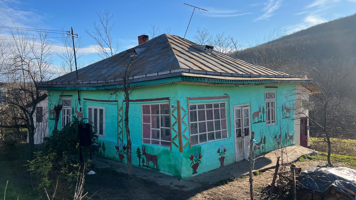 Filmul tragediei de la „casa cu căprioare”. Femeia omorâtă la Iași era parțial dezbrăcată: „A violat-o, apoi a ucis-o”