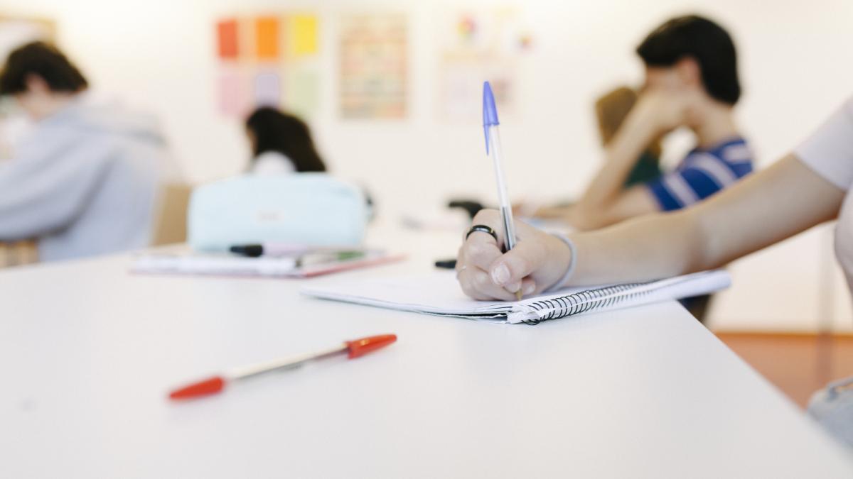 Se schimbă programa școlară a elevilor de liceu! Ce materie nouă vor studia