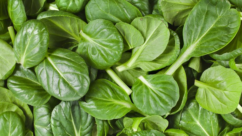 Singura legumă care conține mai mult fier decât carnea! Bogată în antioxidanți, vitamine și minerale
