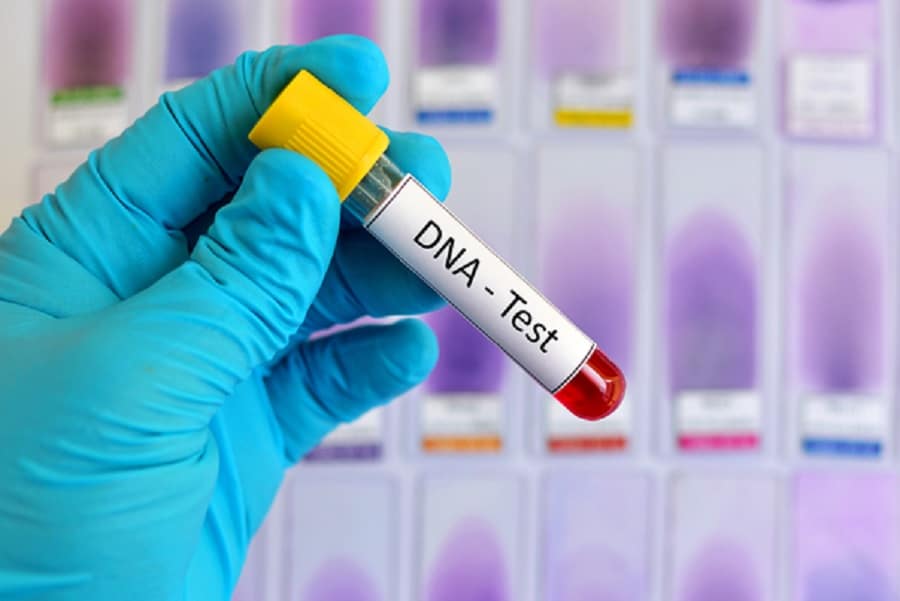 Vezi cât costă un test ADN în România. Află adevărul despre originale tale