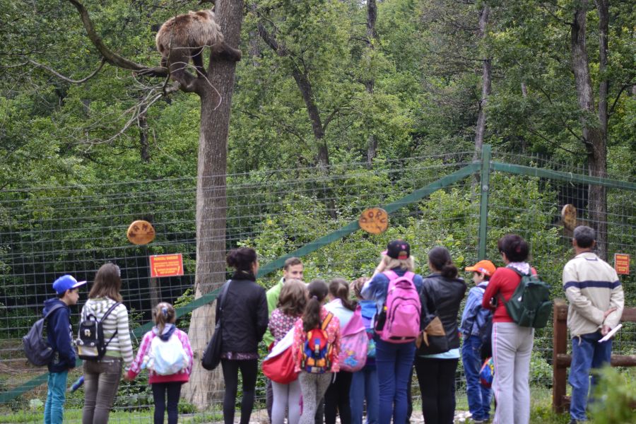 TotalEnergies Marketing Romania susține programul de educație al Asociației Milioane de Prieteni: Ore desfășurate în școli pentru bunăstarea și protecția animalelor și a mediului înconjurător