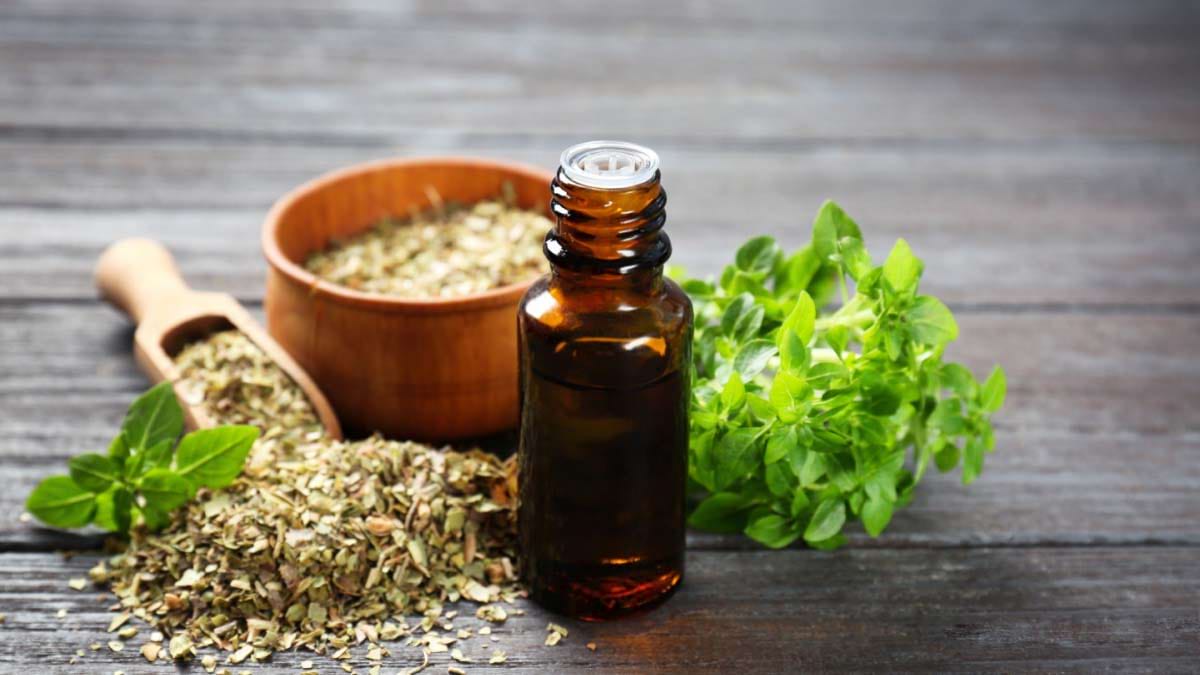 Ulei de oregano, beneficii. Cum să folosești produsul natural pentru îngrijirea pielii