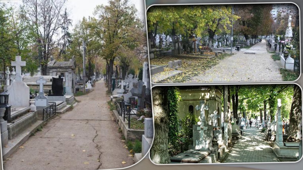 Noul cimitir din Iași a primit certificatul de urbanism! Când vor putea fi date spre concesionare locurile de veci