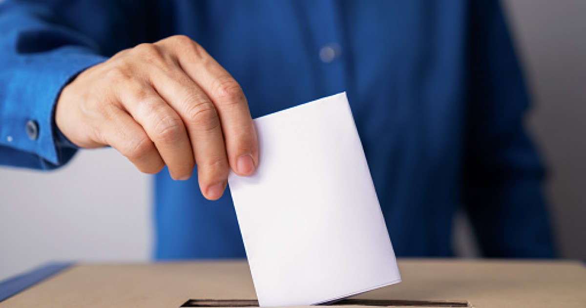 BEC a dispus încetarea votului în Diaspora