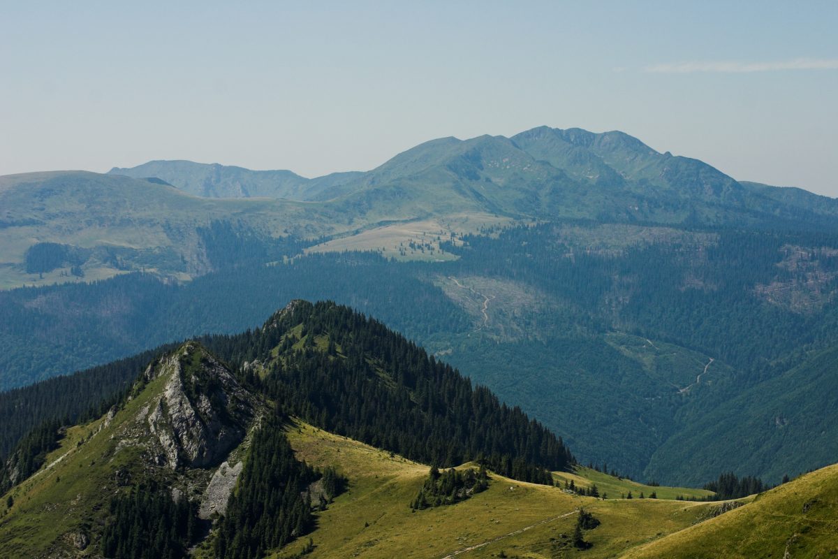 CEDO obligă România să restituie 17.000 hectare de pădure!