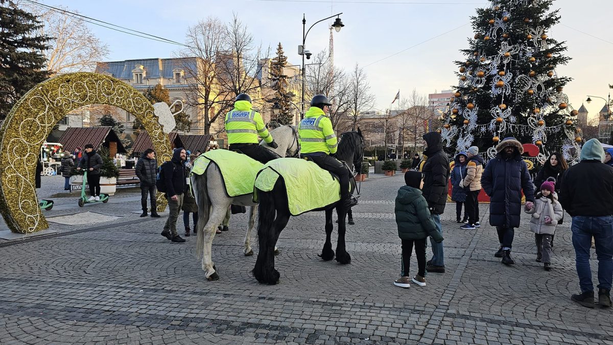 Polițiștii locali din Iași au aplicat peste 200 de amenzi în perioada sărbătorilor de iarnă. Iată care au fost cele mai întâlnite încălcări ale legii