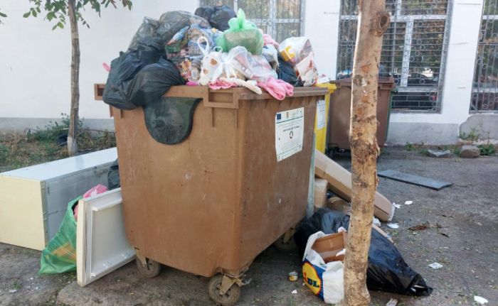 Ce a găsit Georgiana la ghena de gunoi. Când a văzut, era să cadă din picioare!