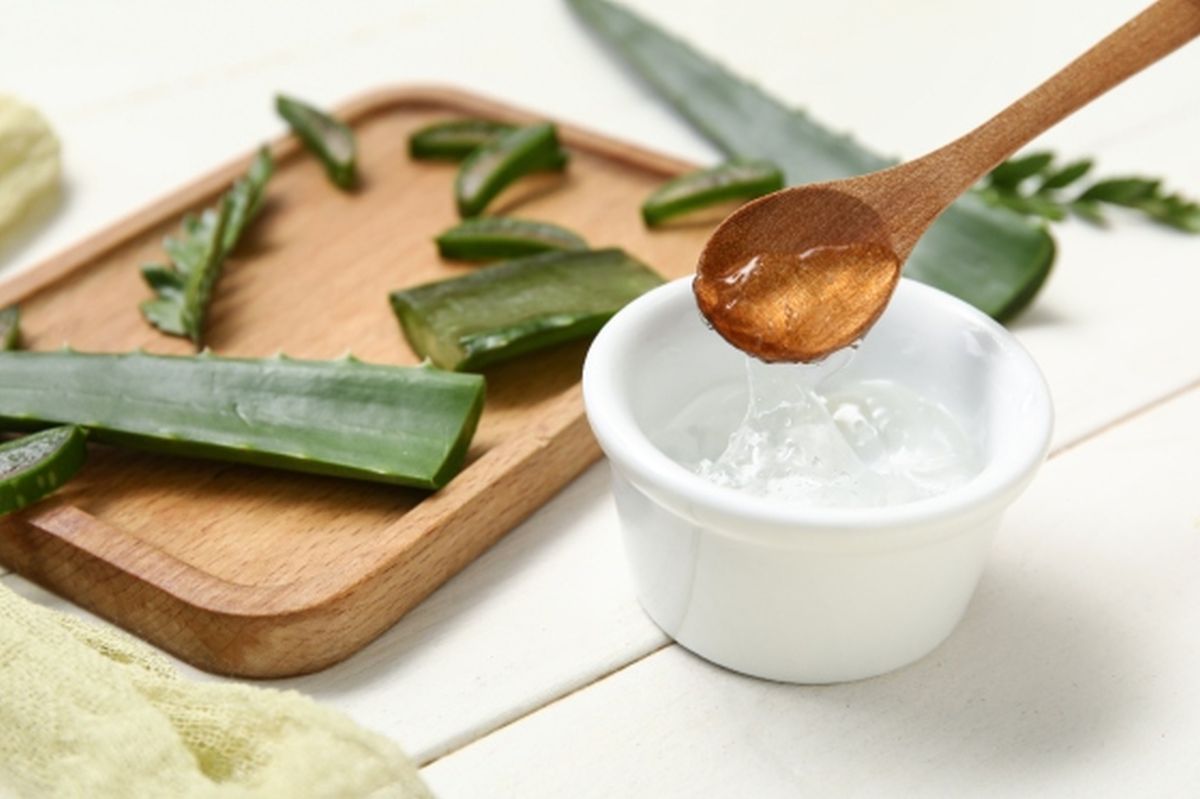 Aloe vera – gel de băut. Ajută sistemul digestiv și reduce inflamațiile