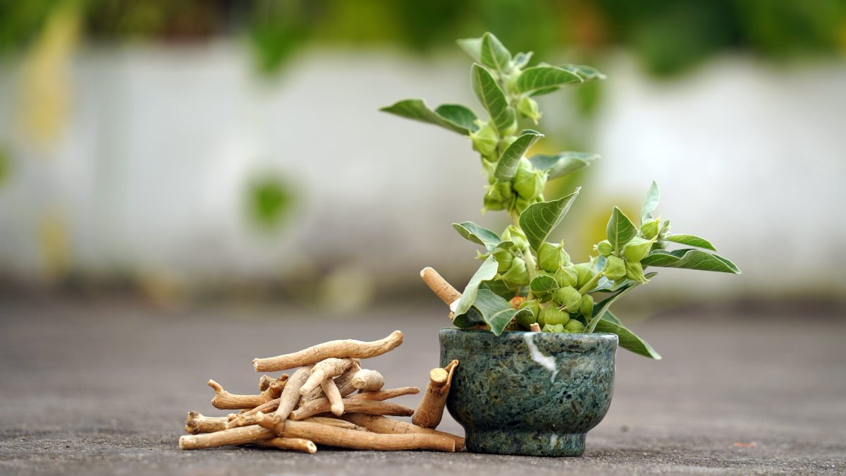 Ce este ashwagandha (Withania somnifera) și ce beneficii are pentru sănătate