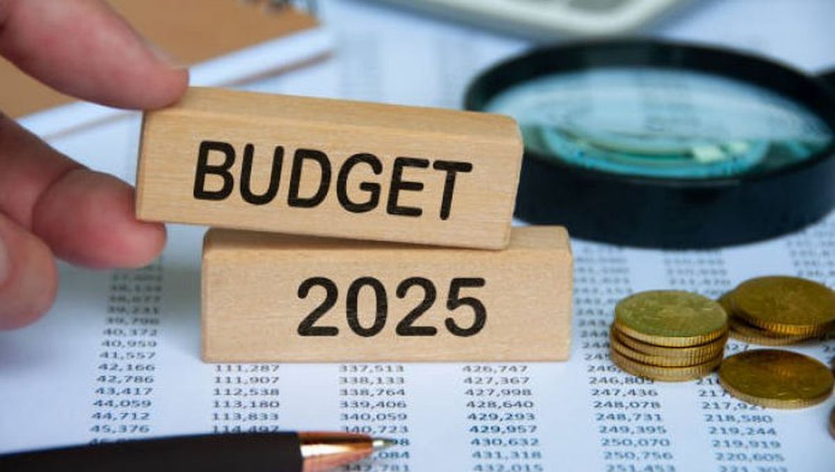 Legea Bugetului pentru anul 2025 a fost finalizată. S-a aflat alocarea pentru fiecare minister în parte