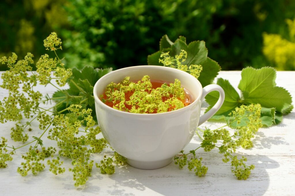 Beneficiile ceaiului verde! Elixirul natural care îți îmbunătățește sănătatea pe multiple planuri