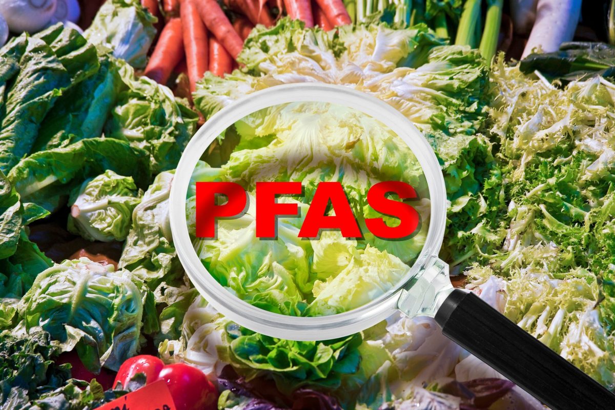 UE plănuiește interzicerea substanțelor PFAS. Ce sunt și în ce fel afectează sănătatea