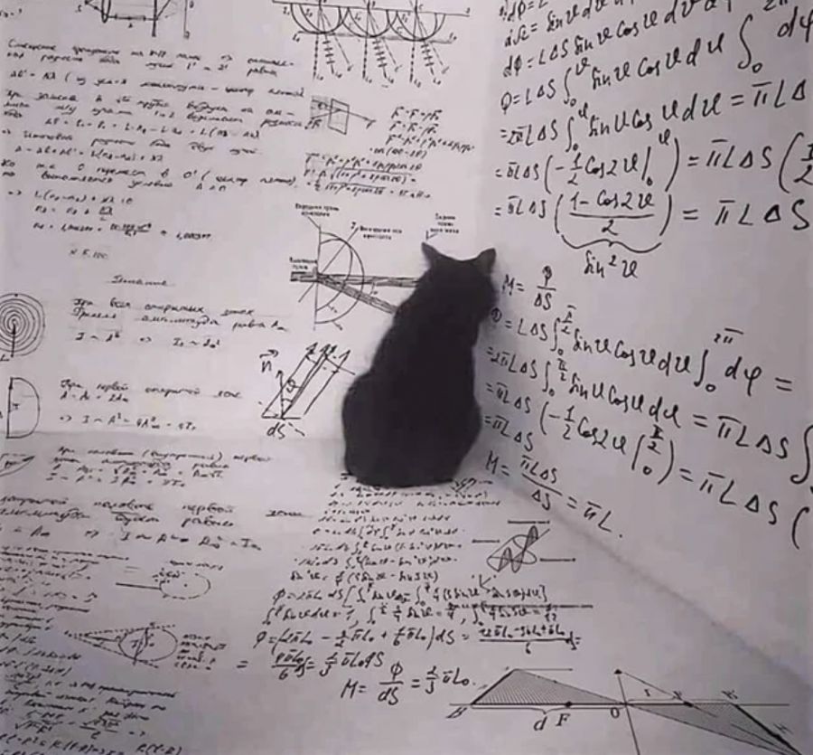 Paradoxul lui Schrödinger-Cum a fost fizica cuantică explicată cu ajutorul unei pisici