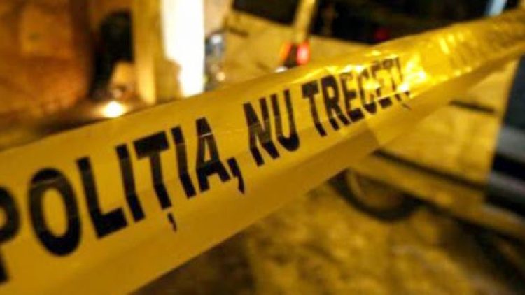 Au fost descoperite două cadavre, unul într-o pădure din Mogoșoaia, celălalt la marginea unei păduri din Bragadiru