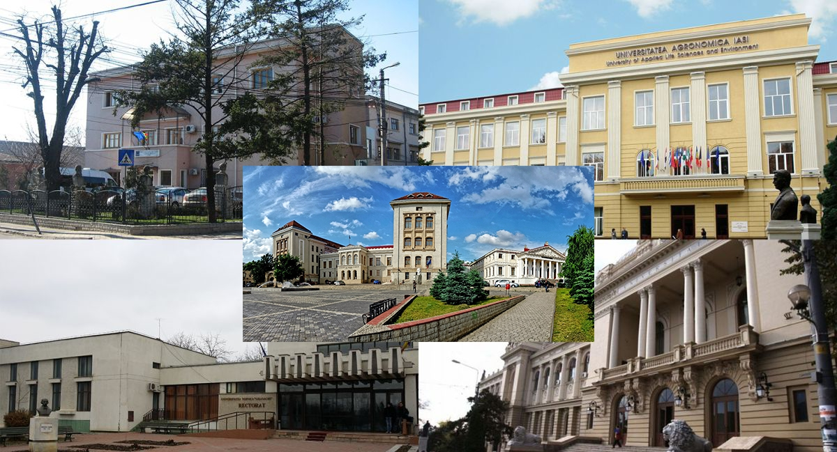 Universitățile ieșene – în clasamentul global Times Higher Education 2025! Performanțe modeste, dar constante