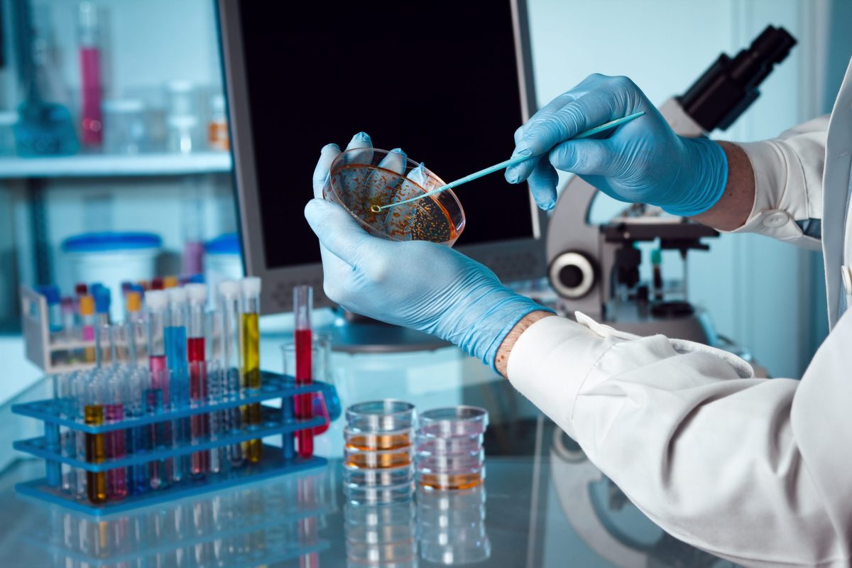 Cât costă un set de analize de laborator în Iași la Synevo, Clinica Sante, Bioclinica și Arcadia