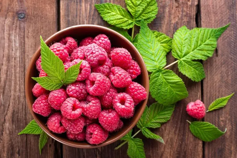 Zmeura, beneficii și proprietăți. În ce rețete delicioase poți integra fructele de pădure
