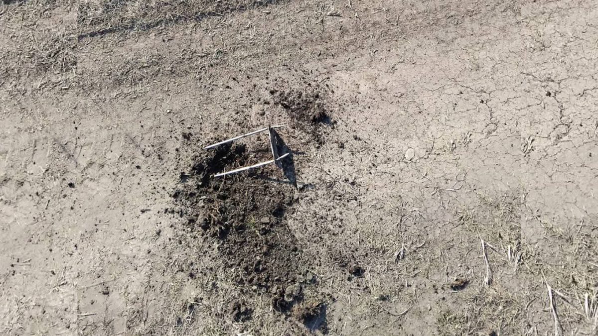 Capcane periculoase, montate pe un drum din Iași! Șoferilor nu le-a venit să creadă când au făcut descoperirea: „Probabil au fost puse de braconieri”