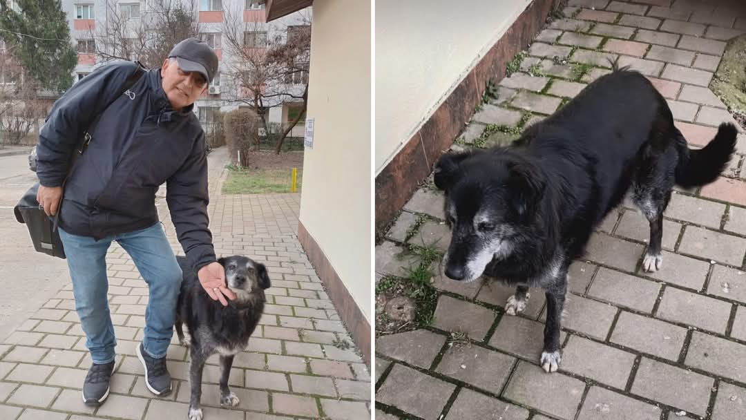 Povestea înduioșătoare a poștașului Costel Iftimie și Negruțu. De 8 ani împart corespondența împreună