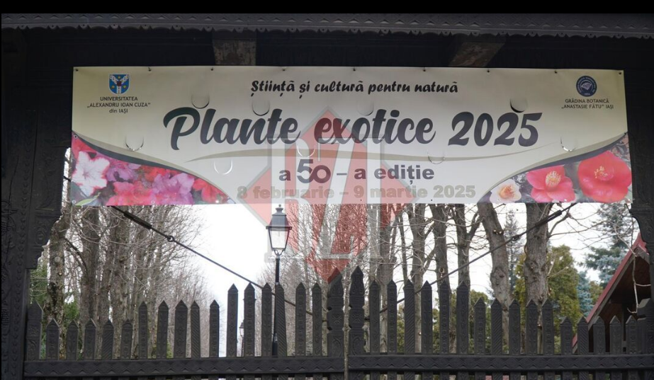 Eveniment deosebit în Grădina Botanică din Iași! A început cea de-a 50-a ediție a Expoziției de Plante Exotice