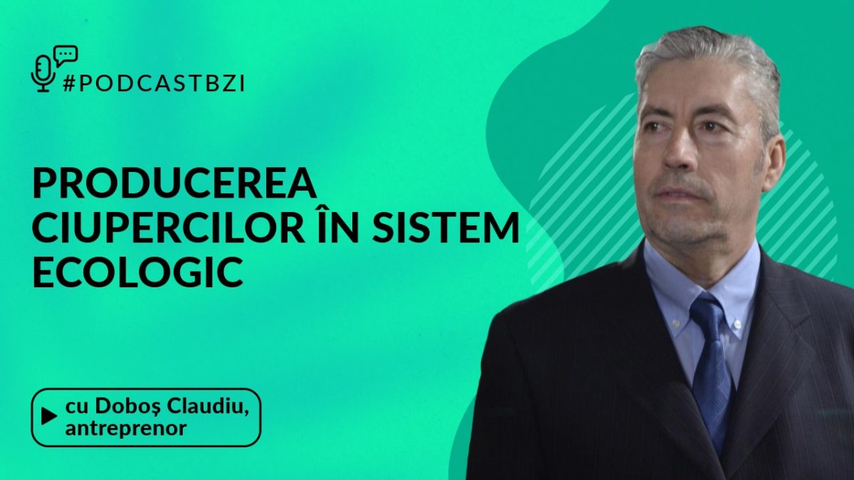 Doboș Claudiu, antreprenor, despre producția ciupercilor Pleurotus în sistem artizanal